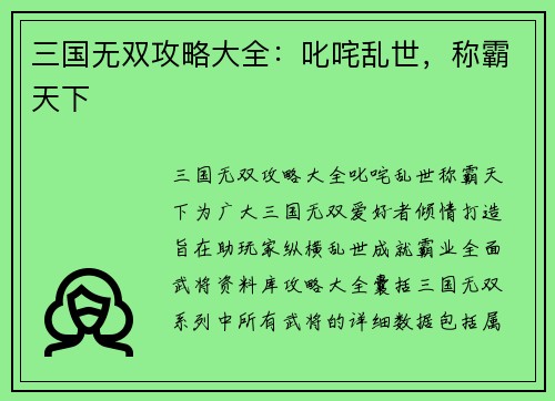 三国无双攻略大全：叱咤乱世，称霸天下