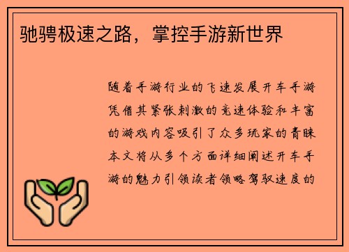 驰骋极速之路，掌控手游新世界
